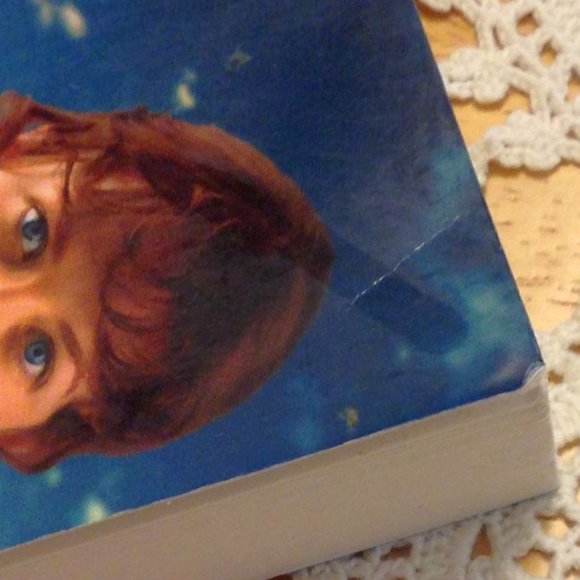 3 for $10 book sale! Christian Fiction / Romance - The Bride Backfire - Picture 6 of 6